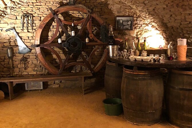 Golden stones Beaujolais Wine Tour with Tastings from Lyon - The family winery: the most substantial stop