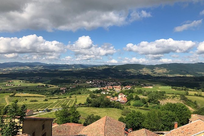 Golden stones Beaujolais Wine Tour with Tastings from Lyon - What the wines are like