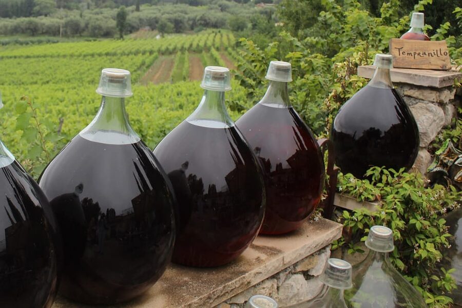 Grasse, Valbonne & Gourdon: Day Tour with Wine Tasting - Gourdon, the Eagle’s Nest