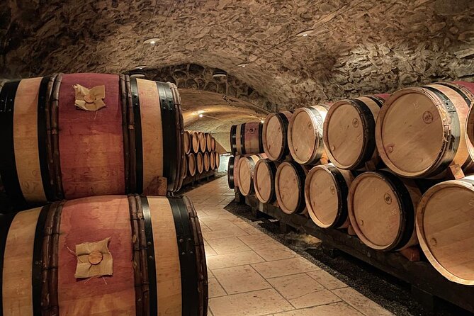 Guided tour and wine tasting Northern Rhône Valley - The first estate near Chavanay