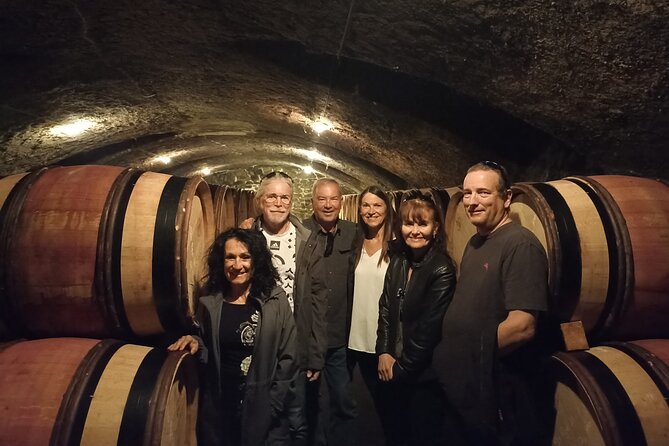 Guided tour and wine tasting Northern Rhône Valley - Ampuis and a second wine perspective