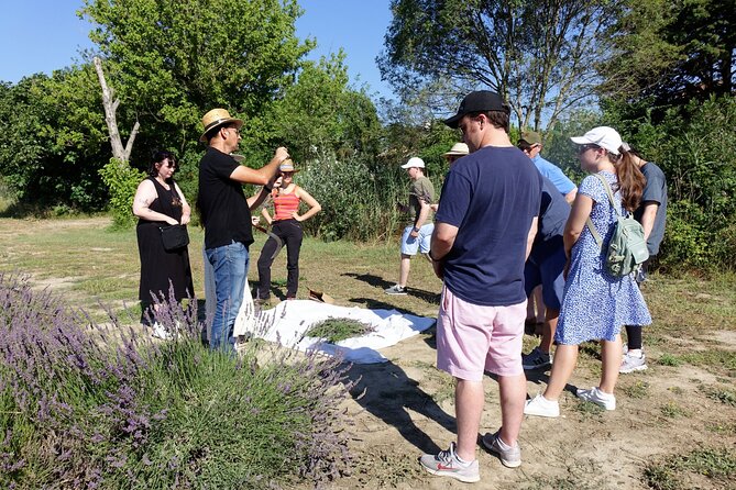 Guided tour Distillery of Lavender between Nîmes & Arles - English, multilingual help, and group comfort
