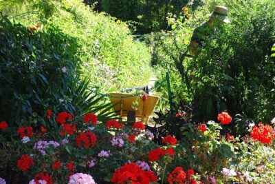 Guided tour Monet’s house and gardens/small group