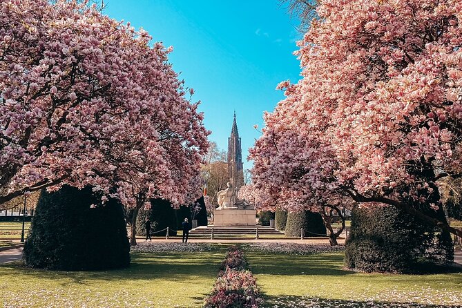 Guided Walking Tour in Strasbourg between History and Curiosities - Strasbourg’s complicated past, explained simply