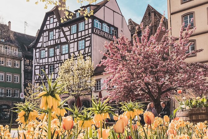 Guided Walking Tour in Strasbourg between History and Curiosities - How the price compares with the experience