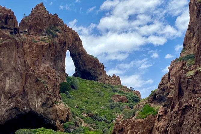 Half Day Boat Trip to Scandola Calanche de Piana - Why Scandola is the star of this Corsican boat ride