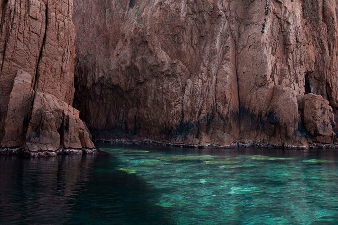 half-day excursion / snorkeling calanques de piana-capo rosso - Timing, weather, and practical planning