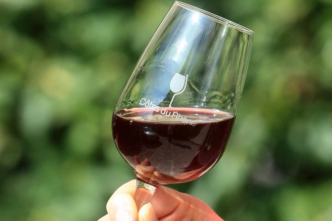 Half Day Great Vineyard Tour from Avignon - The scenery is part of the price