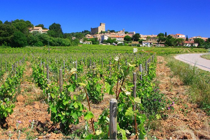 Half Day Great Vineyard Tour from Avignon - Small groups help, but timing can still shift
