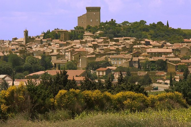 Half Day Great Vineyard Tour from Avignon - What can vary from one departure to another