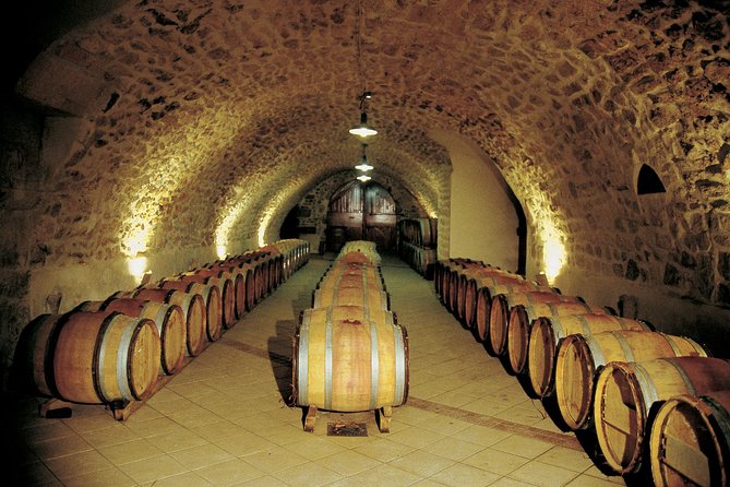 Half Day Great Vineyard Tour from Avignon - What to expect inside the wineries