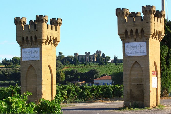 Half Day Great Vineyard Tour from Avignon - Morning or afternoon: which departure works better?