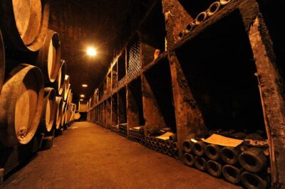 Half Day Tour of the Cote de Nuits Vineyards from Dijon