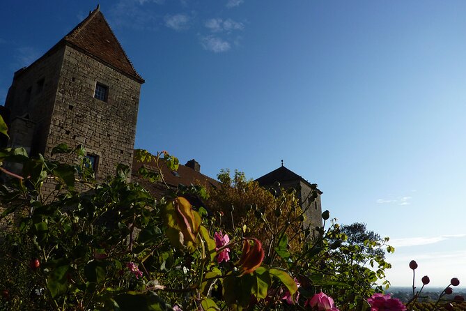 Half Day Tour of the Cote de Nuits Vineyards from Dijon - Who should book this afternoon?