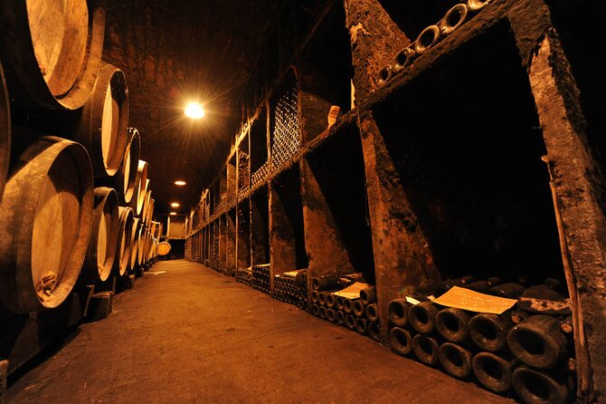 Half Day Tour of the Cote de Nuits Vineyards from Dijon - Walking among vines and Burgundy heritage