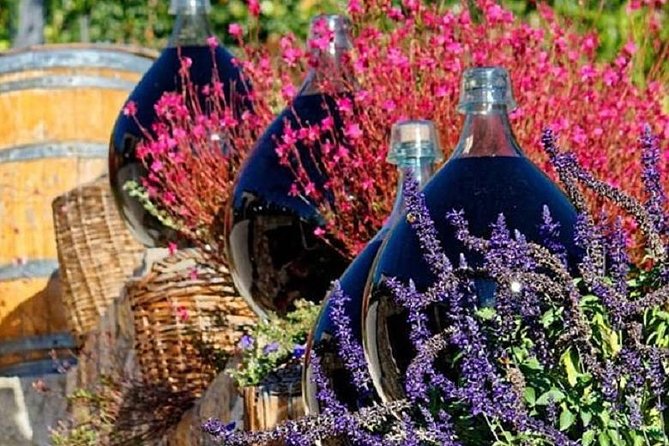 Half-Day Wine Tasting and Saint Paul de Vence Tour from Nice - Who will get the most from this experience