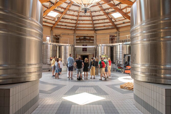 Half-Day Wine tour across Bordeaux’s Vineyards - Saint-Émilion’s underground church