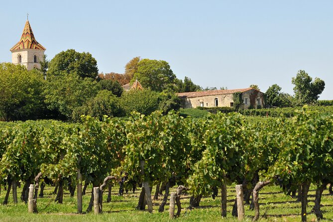 Half-Day Wine tour across Bordeaux’s Vineyards - The guide makes or breaks the afternoon