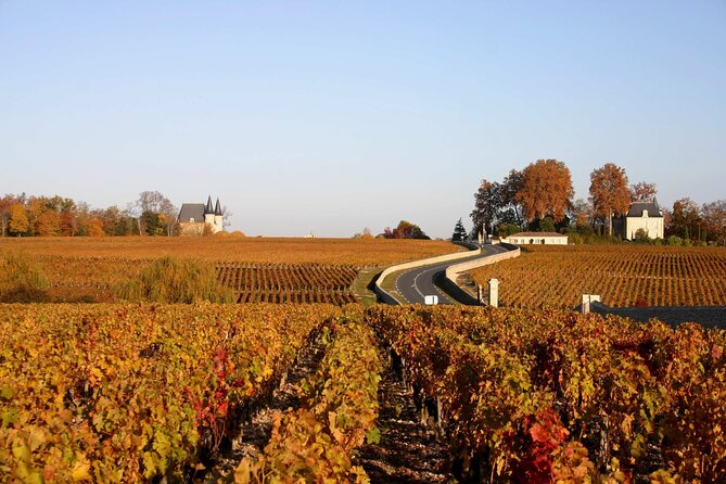 Half-Day Wine tour across Bordeaux’s Vineyards - Is $70.81 good value?