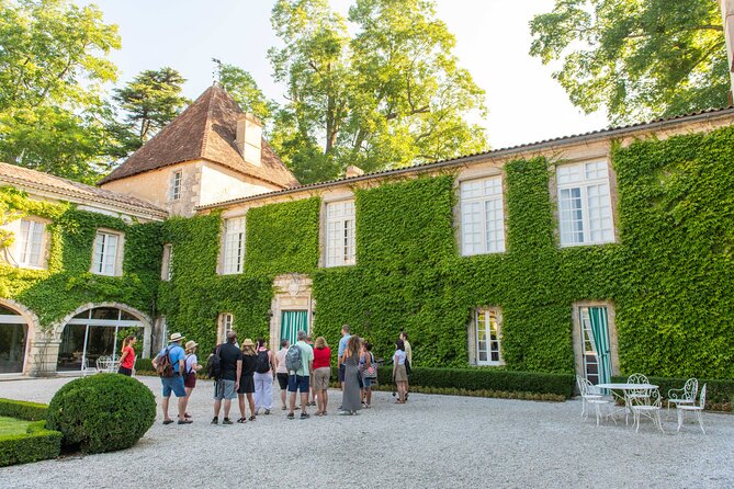 Half-Day Wine tour across Bordeaux’s Vineyards - Who should book this experience?