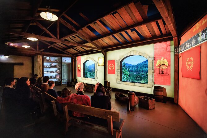 Hameau Duboeuf, 1st theme park on Vine and Wine in Europe - The Beaujolais show and regional storytelling