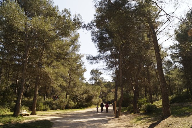 Hiking in the Calanques National park from Marseille - Grande Candelle and the climb back