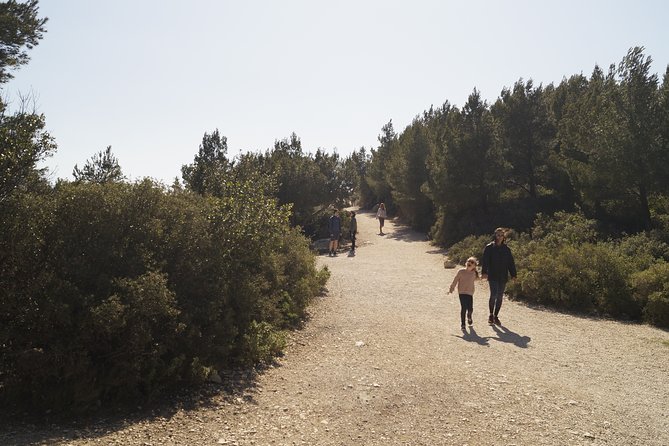 Hiking in the Calanques National park from Marseille - Picnic snacks, water, and what to pack