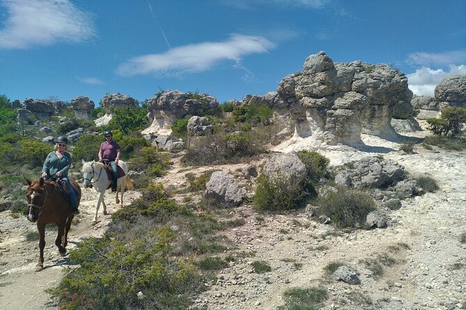 Horse ride in Haute Provence Luberon and Forcalquier - Meeting the horses at Janssaud Centre Equestre
