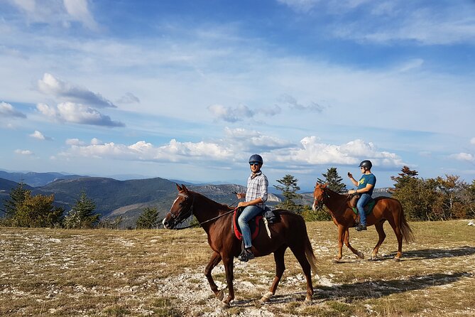 Horse ride in Haute Provence Luberon and Forcalquier - The horses are part of the experience