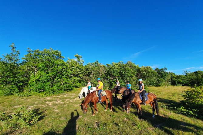 Horse ride in Haute Provence Luberon and Forcalquier - Booking, timing, and cancellation