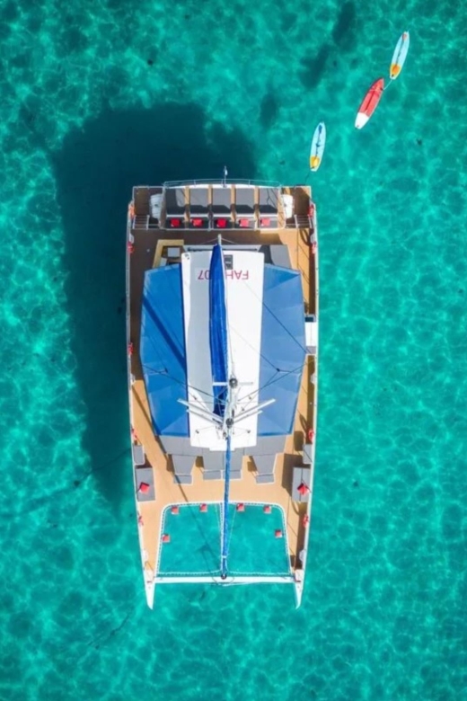 Hyères : Morning Discovery or Relaxing Afternoon cruise - Is $76 a fair price?