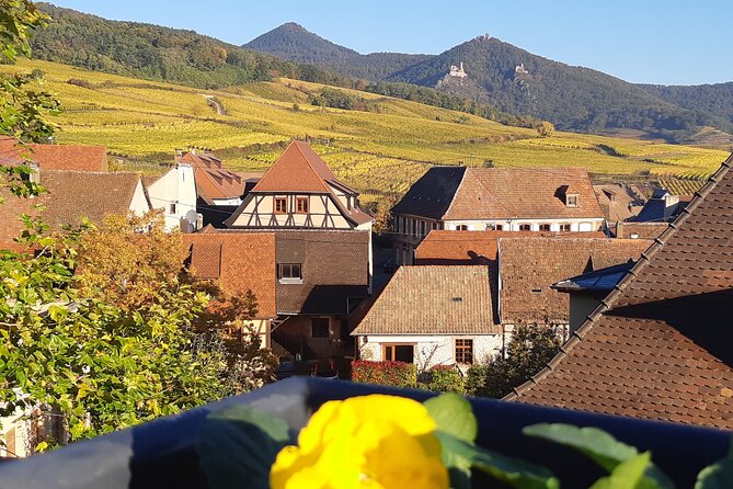 ICONICS Tour: 1/2 day on the Wine Route, visit of 2 Villages + Tasting. - Why this half-day trip works from Colmar