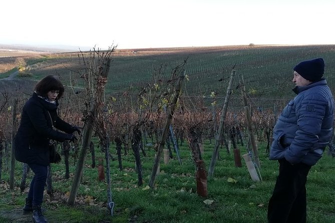 ICONICS Tour: 1/2 day on the Wine Route, visit of 2 Villages + Tasting. - The Alsace wine route and its cellar stop
