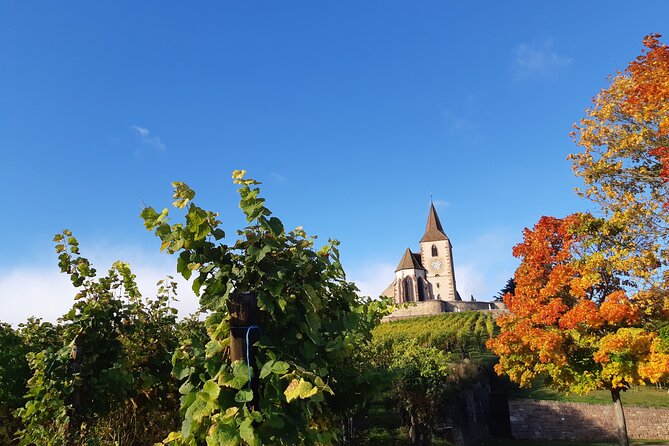 ICONICS Tour: 1/2 day on the Wine Route, visit of 2 Villages + Tasting. - What the $114.93 price buys you