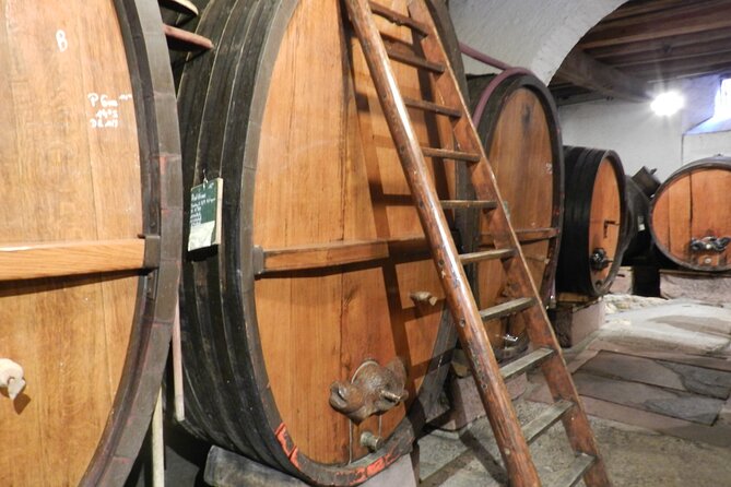 ICONICS Tour: 1/2 day on the Wine Route, visit of 2 Villages + Tasting. - Who should book this experience