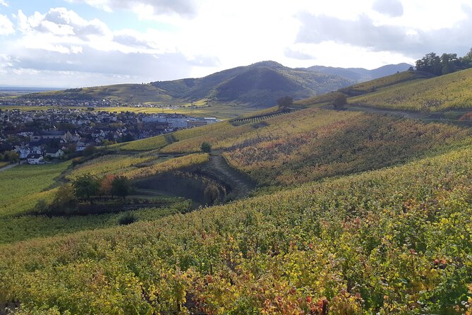 ICONICS Tour: 1/2 day on the Wine Route, visit of 2 Villages + Tasting. - Timing, cancellations, and practical preparation