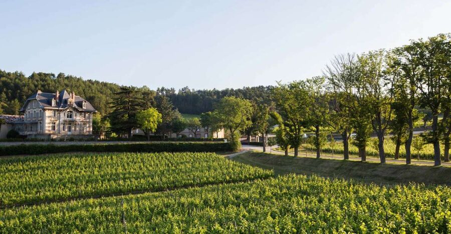 Languedoc: Tour and Tasting at Domaine de Baronarques - Arriving at Domaine de Baronarques near Limoux