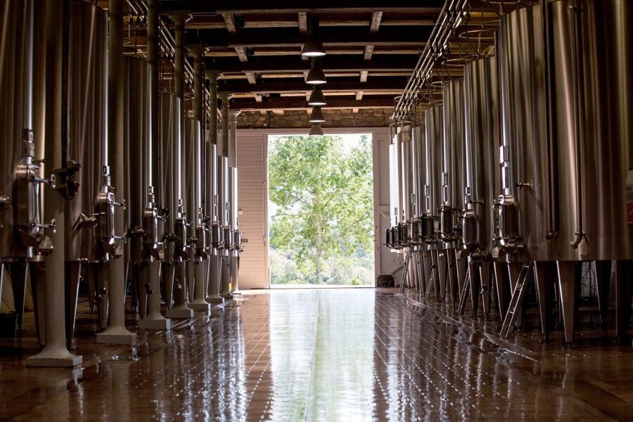 Languedoc: Tour and Tasting at Domaine de Baronarques - Why the one-hour length works