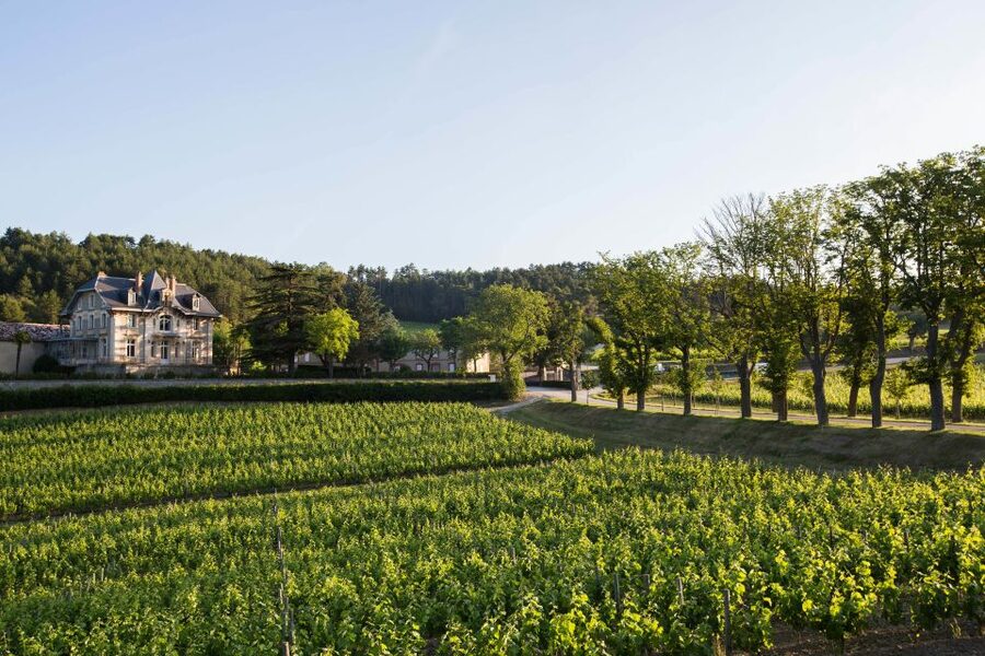 Languedoc: Tour and Tasting at Domaine de Baronarques - A 17th-century estate with a 19th-century château