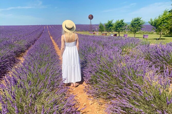 Lavender in Luberon Small Group Half-Day Trip - Gordes and the fifteen-minute panorama