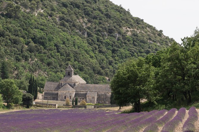 Lavender in Luberon Small Group Half-Day Trip - What the Luberon portion really gives you