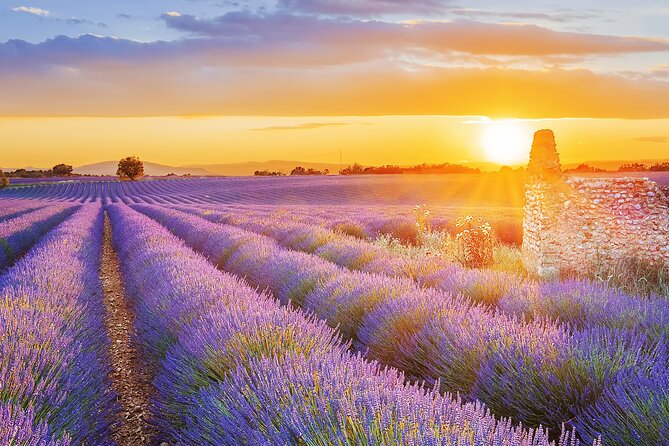 Lavender Route - Small-Group Day Trip from Avignon - Roussillon and the Ochre Path