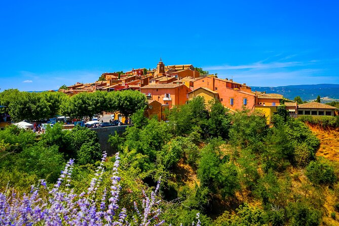 Lavender Route - Small-Group Day Trip from Avignon - Finding the best fields of the season