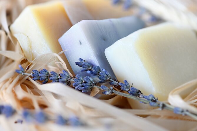 Lavender Route - Small-Group Day Trip from Avignon - Physical effort, timing and what to bring