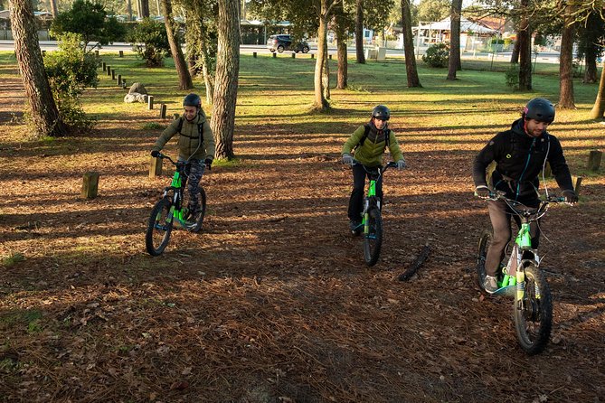 Leisure ride on an electric scooter - Who will enjoy this 90-minute outing