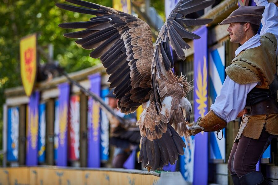Les Epesses: Puy du Fou Theme Park 1-Day Entry Ticket - Villages, crafts, and time between shows