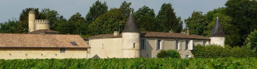 Libourne: Winery Tour with Wine and Chocolate Tasting - Starting among the vines
