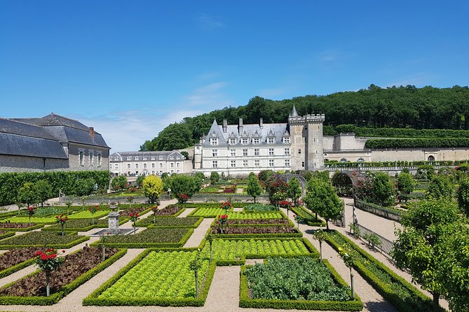 Loire Valley Half Day : Villandry and Azay-le-Rideau from Tours - My call: book it for contrast, not for a slow day