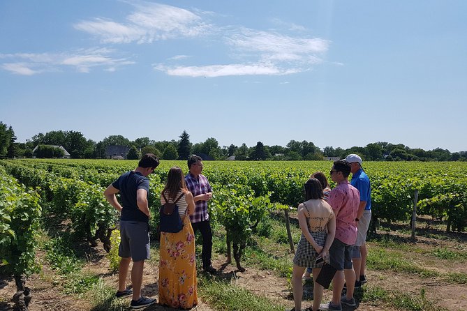 Loire Valley Half Day Wine Tour from Tours : 2 local wineries - Key points to know before booking
