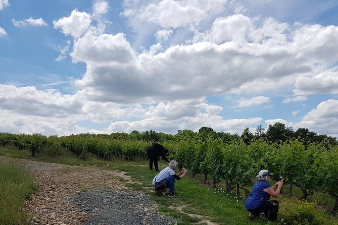 Loire Valley Half Day Wine Tour from Tours : 2 local wineries - Is $119.48 fair for the experience?